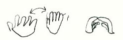 hand-exercise-3